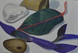 Assignment 1 - Natural Forms - Finished Drawing