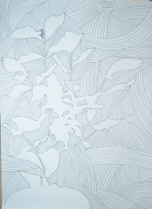 Drawing Negative Space in a Plant 1