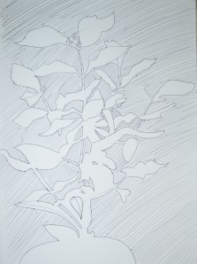 Drawing Negative Space in a Plant 2nd Attempt