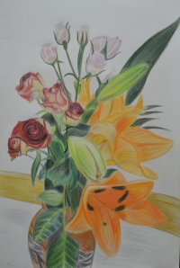 Plants and Flowers in Coloured Pencil