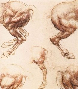 Leonardo da Vinci “Study of horses”, red chalk on paper, 1504-6